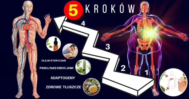 Zaburzenia hormonalne co to? Poznaj objawy i przyczyny problemów zdrowotnych Zaburzenia hormonalne co to? Poznaj objawy i przyczyny problemów zdrowotnych